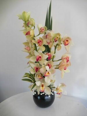 Arreglo en Orquídeas R126 - Orquídeas a domicilio en Kennedy Te Mando Flores.